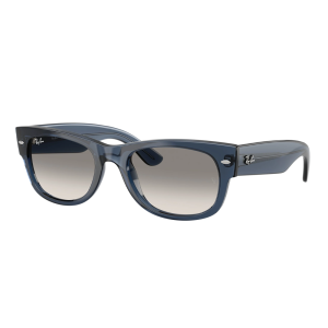 Ray-Ban 0832S SOLE